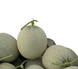 Melon or Cantaloupe fruit new harvest plucked from the garden, isolated on white background with clipping path.