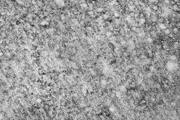 Abstract fungus on the floor, dust on the floor, dirty background