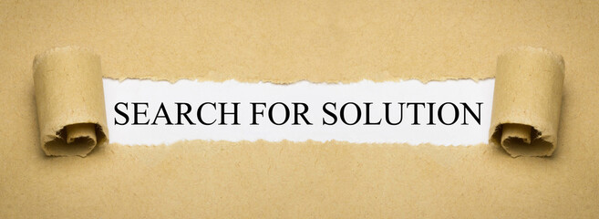 Search for Solution
