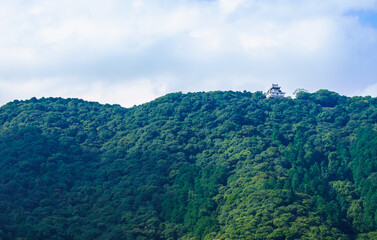 Obraz premium View Of Iwakuni Castle In Iwakuni, Japan.