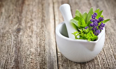 Crédence de cuisine en verre imprimé Aromatique Medicine fresh herbs with white mortar
