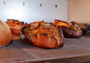 loaf of bread in the oven