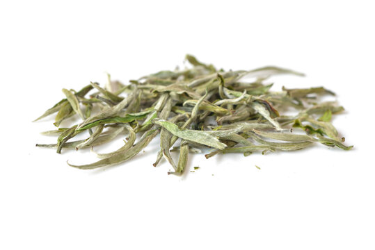 Chinese white tea leaf (Silver needle white tea) on white background  - isolated
