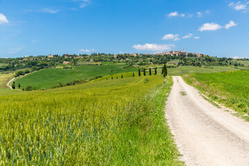 Fototapeta na wymiar Straße durch die Hügel der Toskana