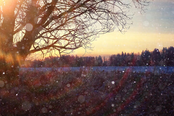 Fototapeta na wymiar amazing winter landscape at sunset in forest