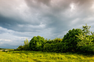 Fototapeta na wymiar Very beautiful summer landscape. Tree in a field with dark clouds in the sky. Dramatic landscape.