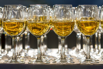Glasses of champagne in the restaurant