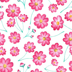 Vector seamless floral pattern with cosmos flowers (pink asters). Watercolor painting, stylish vector illustration with blooming plants isolated on white. Design element for prints, decor, fabric