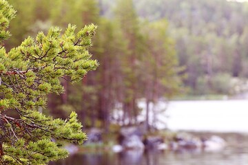 Fototapeta premium autumn background blur