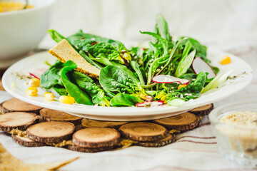Summer salad with green,corn, radish, sesame and crispy crackers