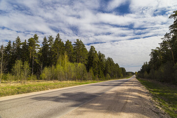 Road in the forest