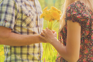 Man's hand holding and giving a yellow dandelions to his beloved in the meadow in sunny spring day.