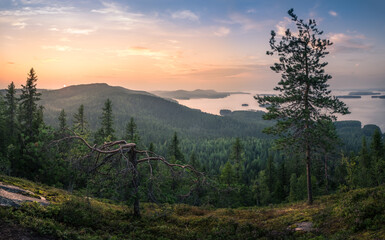 Scenic landscape with lake and sunset at evening in national park Koli, Finland - 157514538