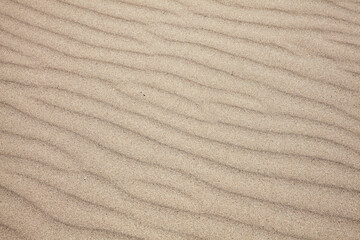 Background of beach sand ripples found on a coastline