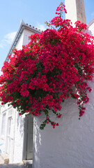 Fototapeta premium Photo of picturesque island of Hydra on a spring morning, Saronic Gulf, Greece