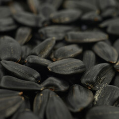 Surface coated with the sunflower seeds