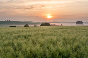 Keuken achterwand Zomer French countryside. Typical landscape with view over the Lorraine wheat fields in dawn.  © PhotoGranary
