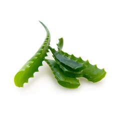 Aloe vera with water drops isolated .