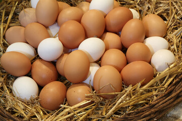 Basket with fresh hen eggs in the farm of organic produce