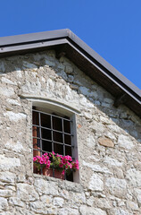 Pink flowers in spring on the balcony of a stone house