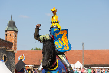 Fototapeta na wymiar winning gesture, medieval knights on the horse