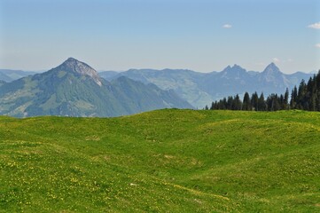 Grüne Wiese auf der Klewenalp mit Sicht auf den Berg Wildspitz und  die Berge kleiner und grosser Mythen,oberhalb Schwyz. 