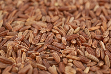 Surface coated with the brown rice grains