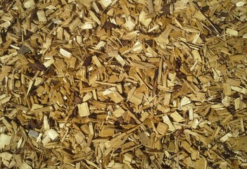 Wood Chippings