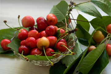 Cherries - full bowl of cherries, fresh and juicy