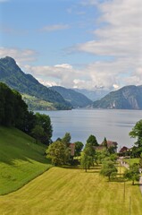 Blick von Weggis aus, auf den Vierwaldstättersee, die Urner Berge, Fronalpstock mit Landwirtschaft am Ufer vom See, Schweiz