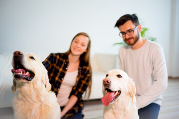Family playing with a dog