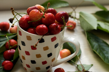 Cup full of fresh cherries