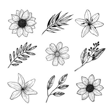 Vector illustrations - Floral set (flowers, leaves and branches). Hand drawn design elements in sketch style. Perfect for invitations, greeting cards, tattoo, prints etc
