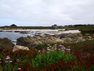 Californian Coast