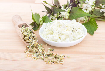 white archangel  / fresh and dried white archangel