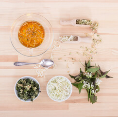  white archangel  / Tea from flowers of the  white archangel  