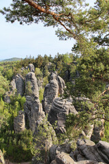Prachovske mountain with trees near village Prachov. Czech landscape