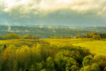 Autumn morning