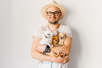 Young happy european smiling and laughing bearded hipster man in straw hat and glasses holding in hands three chihuahua puppies dogs with funny faces and emotions and looking in different directions.