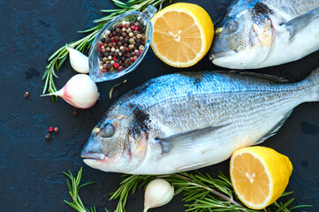 Close up of fresh raw dorado fish, rosemary herb garlic pepper and half of lemon on a black slate background. Overhead view.