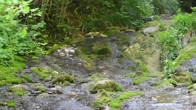 Rivière au Bout du Monde