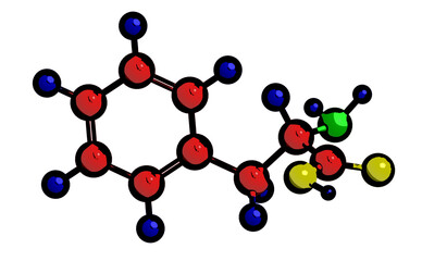 Molecular structure of phenylalanine