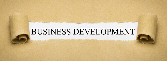 Business Development