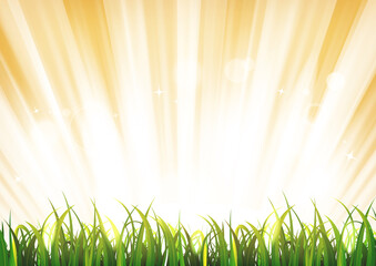 Obraz premium Summer Sunshine Background With Grass Leaves