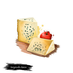 Gorgonzola cheese with apple digital art illustration isolated on white background. Fresh dairy product, healthy organic food in realistic design. Delicious appetizer, gourmet snack italian meal