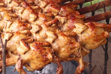 grilled chicken