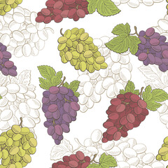 Grapes fruit graphic color seamless pattern sketch illustration vector
