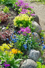 Flowerbed with spring flowers
