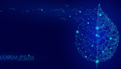 Connected dots point line triangle leaf. Eco nature concept on dark blue background lights geometric icon template vector illustration