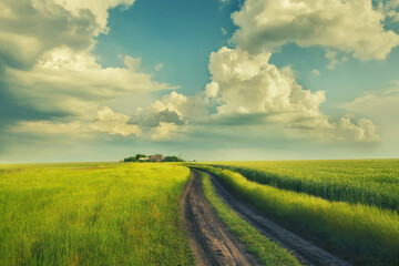 A dirt road in the green field of wheat. A beautiful  sky and rural houses in the distance. Beautiful spring, summer landscape. Vintage
